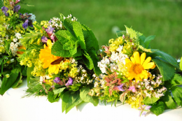 Kräuter-Sträußchen